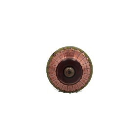 Kjøp Dynamo av BV PSH 115.526.080.058 til den lave prisen 2371,63 NOK