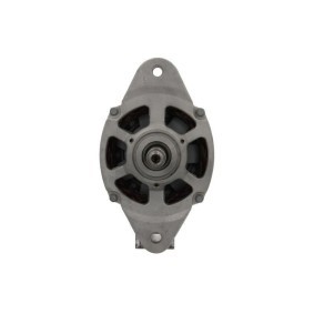 Lichtmaschine von BV PSH