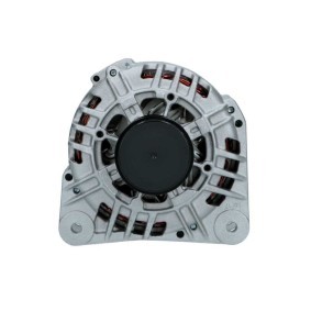 Lichtmaschine von BV PSH