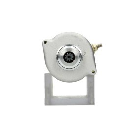 Lichtmaschine von BV PSH