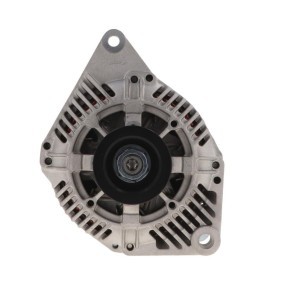 Lichtmaschine von BV PSH