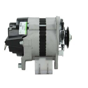 Lichtmaschine von BV PSH