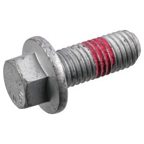 Bremssattelschraube 180961