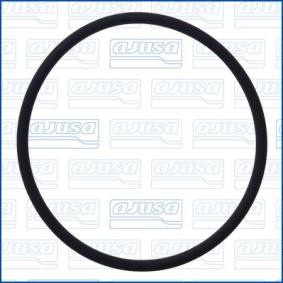 Dichtring, Lader 16091800