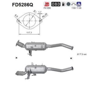Partikelfilter (DPF) FD5286Q