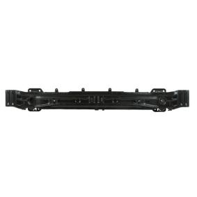 Stoßstangenträger 5502-00-6738941P