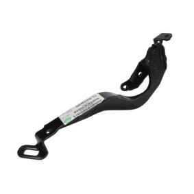 Scharnier, Motorhaube 6802-00-6735452P