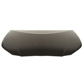 Motorhaube 6803-00-8189280Q