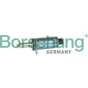 Acquista Valvola di comando per regolazione albero a camme da Borsehung B12244 a buon mercato per soli 29,74 €