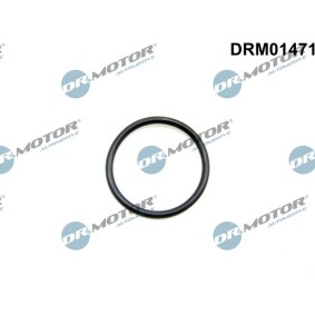 Dichtring, Abgasrohr von DR.MOTOR AUTOMOTIVE