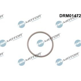 Osta DR.MOTOR AUTOMOTIVE Polttoainepumppu netistä Grand C-Max (DXA/CB7, DXA/CEU)-mallille edulliseen hintaan