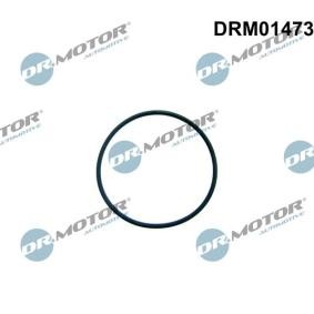Osta DR.MOTOR AUTOMOTIVE Polttoainepumppu netistä Tourneo Custom V362 Bussi (F3)-mallille edulliseen hintaan