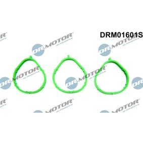 Acquista Kit guarnizioni, Collettore aspirazione da DR.MOTOR AUTOMOTIVE DRM01601S a buon mercato per soli 14,02 €