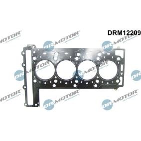 Zylinderkopfdichtung DRM12209