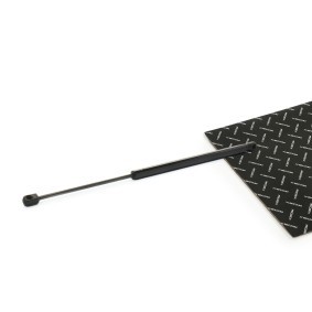 Osta RIDEX Takaluukun kaasujousi netistä Polo Hatchback (6R1, 6C1)-mallille edulliseen hintaan