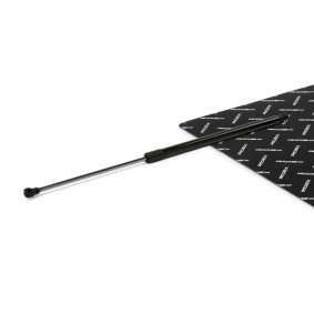 Compre Amortecedor da mala da RIDEX 219G1230 a um preço baixo por 9,35 €