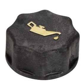 Achetez des Bouchon de remplissage d'huile IVECO 500301568 à prix pour 35,38 €