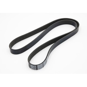 Achetez des Courroie Poly-V IVECO 5802350483 à prix pour 59,35 €