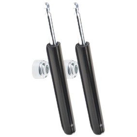 Stoßdämpfer 854S18904 von RIDEX günstig für 36,99 € online kaufen