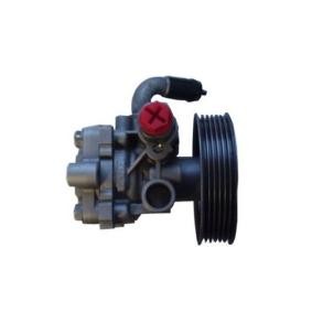 Servopumpe 52725