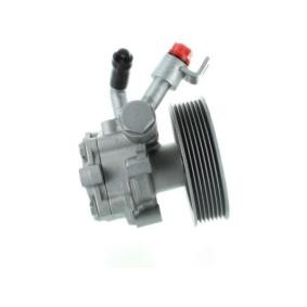 Servopumpe 52730