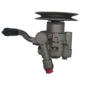 Servopumpe 52784