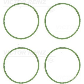 Comprar Juego de juntas, colector de admisión de REINZ 11-11071-01 a bajo precio de 67,05 €