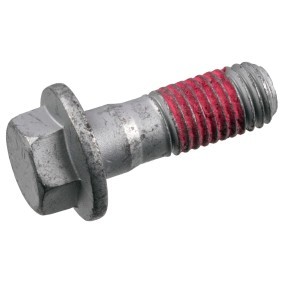 Bremssattelschraube 182462