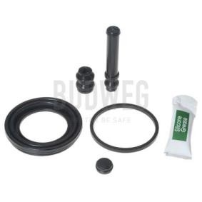 Acquista Kit di revisione della pinza freno da BUDWEG CALIPER 2054117 a buon mercato per soli 9,20 €