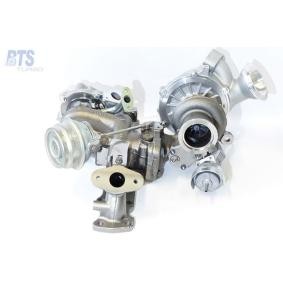 Compre Turbocompressor da BTS TURBO T916163KPLBL a um preço baixo por 1216,43 €