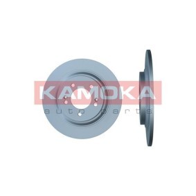 Bremsscheibe 103666