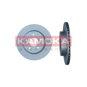 Bremsscheibe 103670