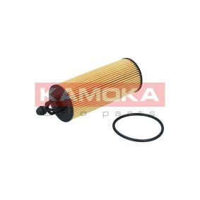 Ölfilter F122901
