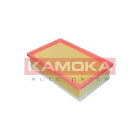 Luftfilter F255401