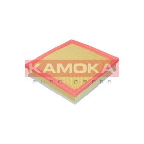 Luftfilter F257801