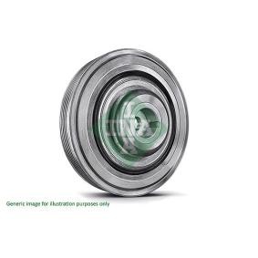 Achetez des Poulie damper (vilebrequin) INA 544 0507 10 à prix pour 139,43 €