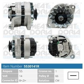 Lichtmaschine 5530141R