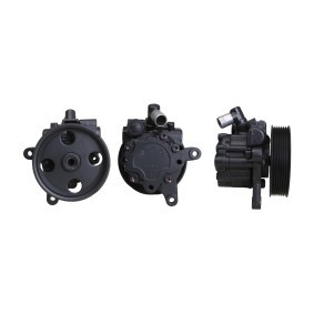 Servopumpe von DRI günstig für 283,14 €