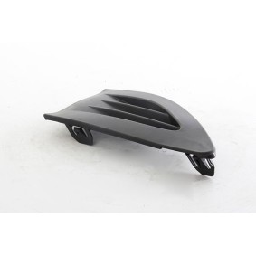 Acquista Mostrina, Paraurti da BSG BSG 75-922-040 a buon mercato per soli 31,43 €