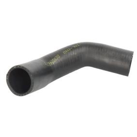 Ladeluftschlauch von THERMOTEC für CLIO II (BB0/1/2_, CB0/1/2_) günstig online kaufen