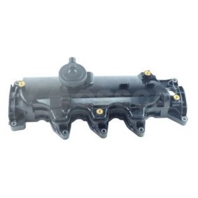 Achetez des Cache-culbuteur OSSCA 66716 à prix pour 58,20 €