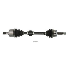 Comprar Árbol de transmisión de PASCAL G20042PC a bajo precio de 198,91 €
