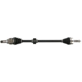 Comprar Árbol de transmisión de PASCAL G22005PC a bajo precio de 175,13 €