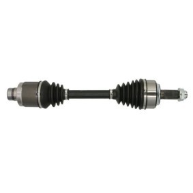 Comprar Árbol de transmisión de PASCAL G24015PC a bajo precio de 188,84 €