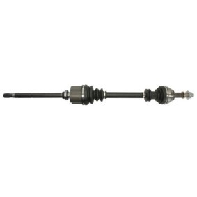 Comprar Árbol de transmisión de PASCAL G2C041PC a bajo precio de 175,60 €