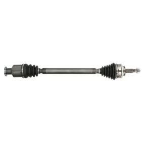 Comprar Árbol de transmisión de PASCAL G2R043PC a bajo precio de 125,35 €