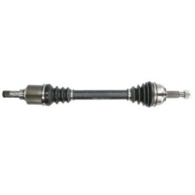 Comprar Árbol de transmisión de PASCAL G2R097PC a bajo precio de 171,95 €