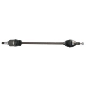 Comprar Árbol de transmisión de PASCAL G2Y008PC a bajo precio de 218,81 €