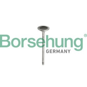 Comprar Juego de aros de pistón de Borsehung B10343 a bajo precio de 14,88 €