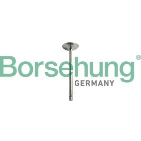 Acquista Kit fasce elastiche da Borsehung B10344 a buon mercato per soli 23,46 €